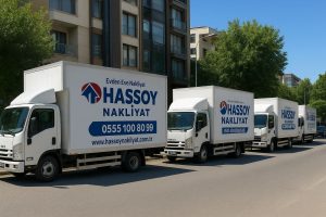 hassoy nakliyat depolama